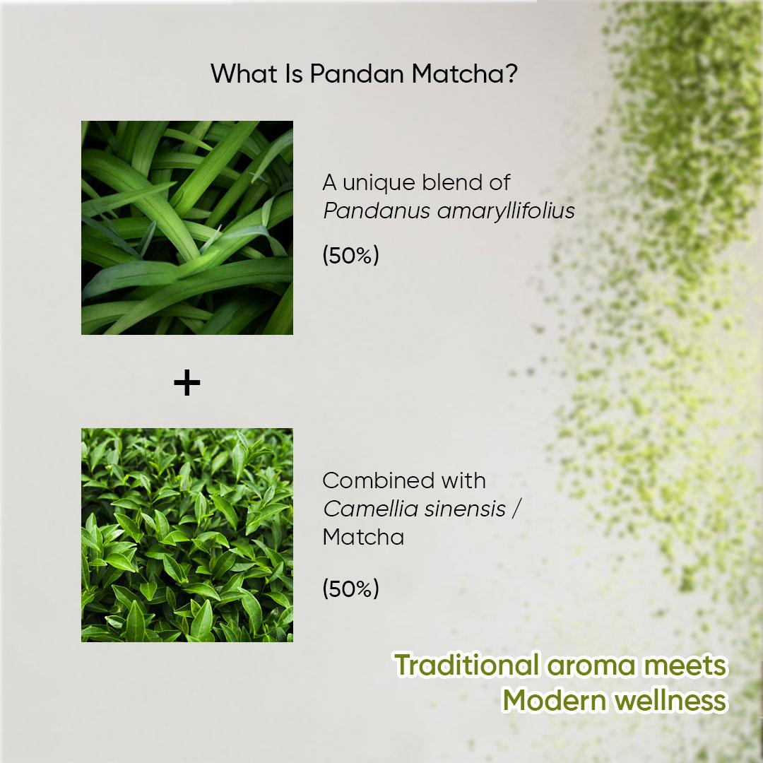 Pandan Matcha Powder – Perfect Balance of Earthy Matcha & Fragrant Pandan