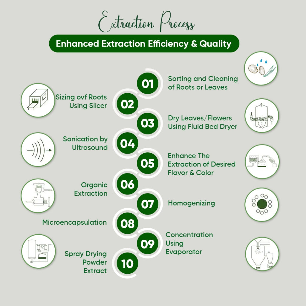 Pandan Leaf 12:1 Standardized Extract Liquid Concentrate