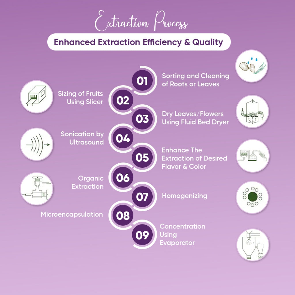 Ube Purple Yam 20:1 Standardized Extract Powder